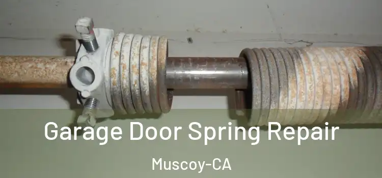  Garage Door Spring Repair Muscoy-CA