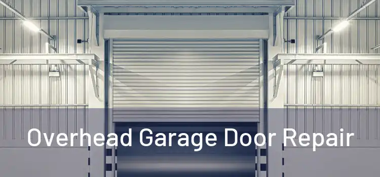  Overhead Garage Door Repair 