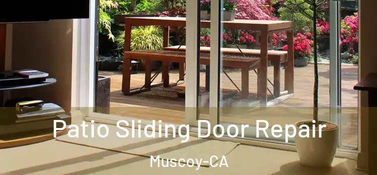  Patio Sliding Door Repair Muscoy-CA